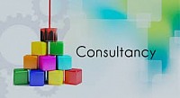 CONSULTANCY SERVICE