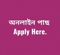 online e pass assam